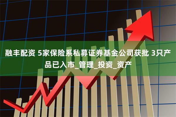融丰配资 5家保险系私募证券基金公司获批 3只产品已入市_管理_投资_资产