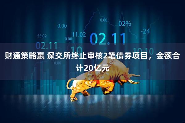 财通策略嬴 深交所终止审核2笔债券项目，金额合计20亿元