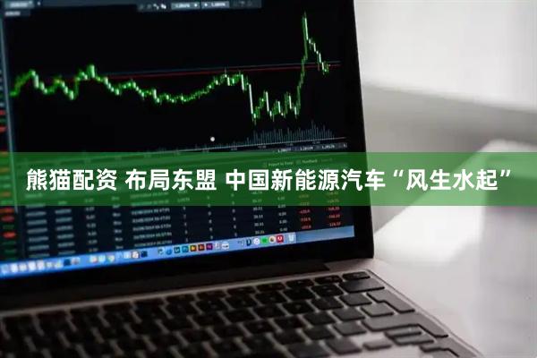 熊猫配资 布局东盟 中国新能源汽车“风生水起”