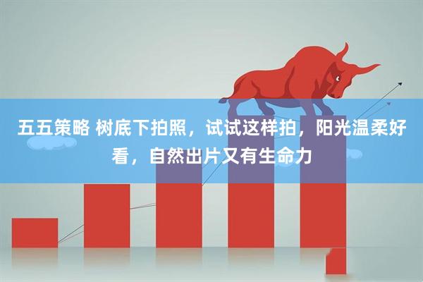 五五策略 树底下拍照，试试这样拍，阳光温柔好看，自然出片又有生命力
